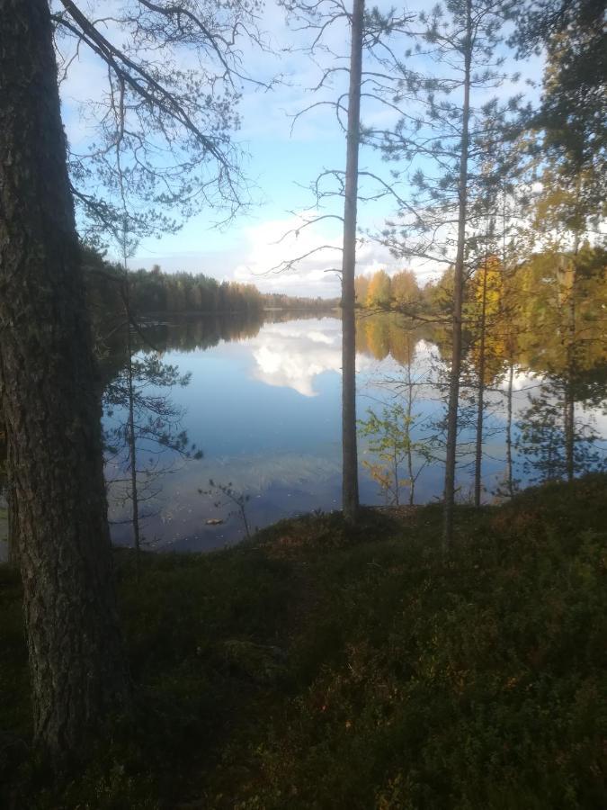 Вилла Tiirantuvat Juankoski Экстерьер фото